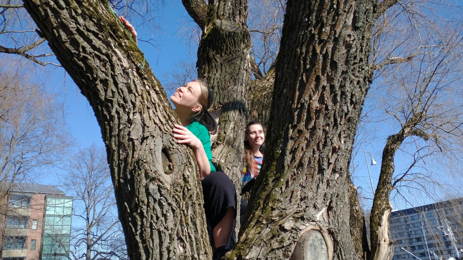 Two women climbing on trees