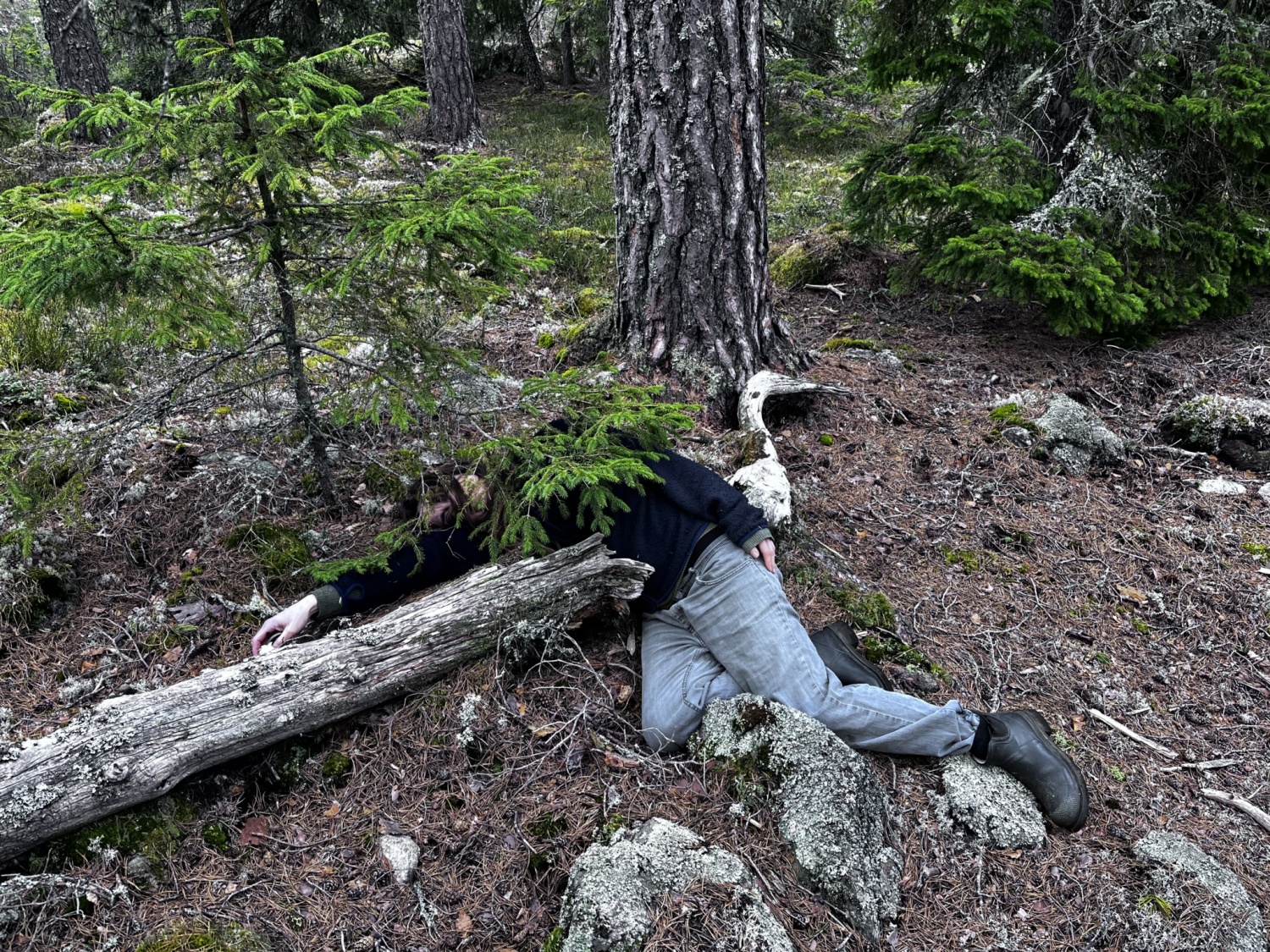 A person lying on forest floor beside a fallen tree