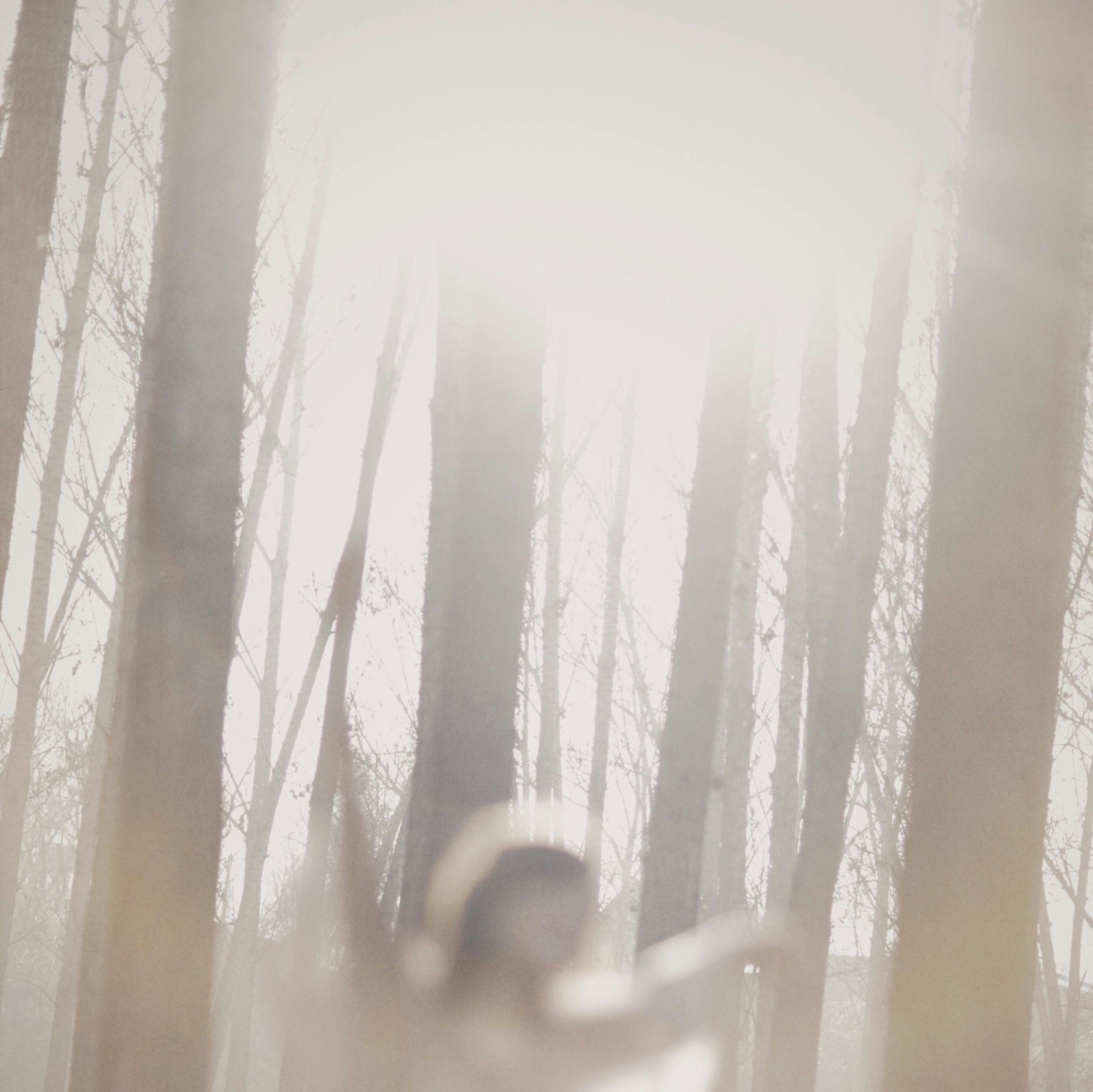 A woman dancing in the woods